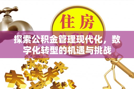 环县探索公积金管理现代化，数字化转型的机遇与挑战
