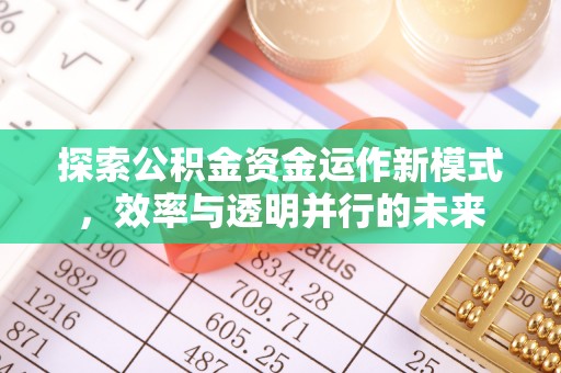 环县探索公积金资金运作新模式，效率与透明并行的未来