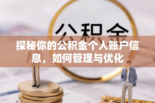 环县探秘你的公积金个人账户信息，如何管理与优化