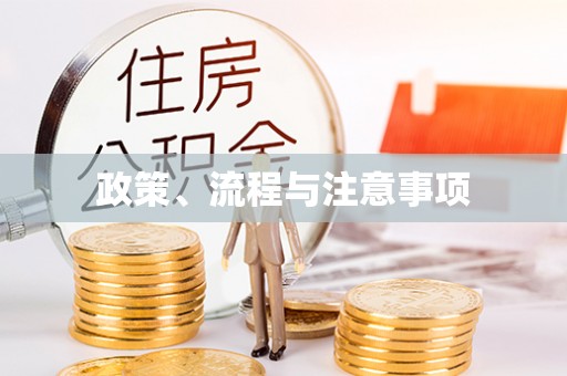 环县政策、流程与注意事项