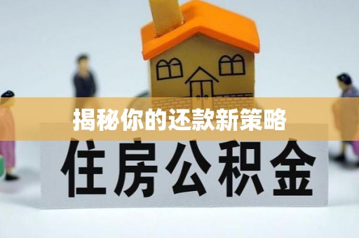 环县揭秘你的还款新策略