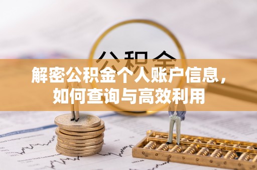 环县解密公积金个人账户信息，如何查询与高效利用