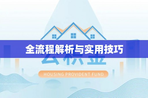 环县全流程解析与实用技巧