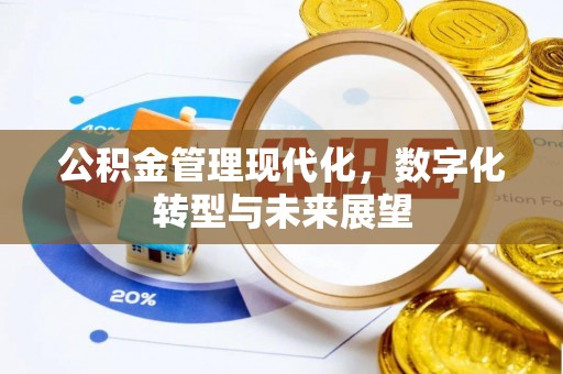 环县公积金管理现代化，数字化转型与未来展望