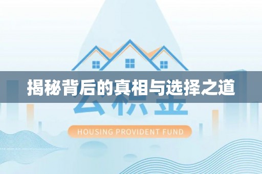环县揭秘背后的真相与选择之道