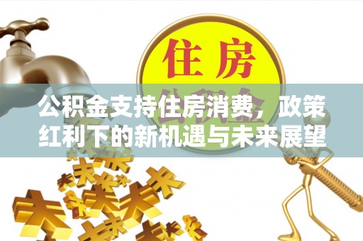 环县公积金支持住房消费，政策红利下的新机遇与未来展望