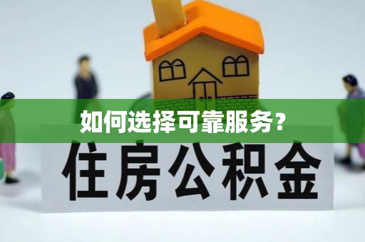 环县如何选择可靠服务？