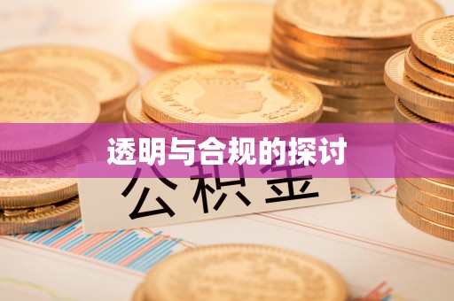 环县透明与合规的探讨