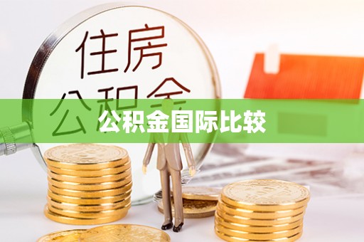 环县公积金国际比较