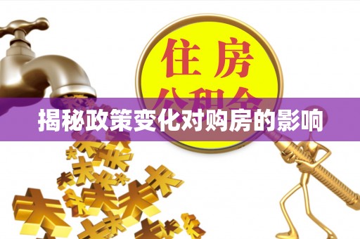 环县揭秘政策变化对购房的影响
