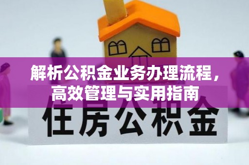 环县解析公积金业务办理流程，高效管理与实用指南