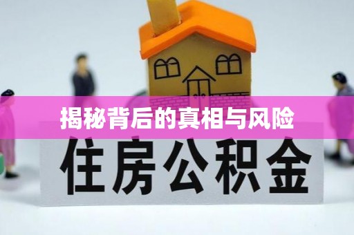 环县揭秘背后的真相与风险