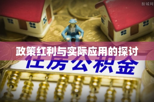 环县政策红利与实际应用的探讨
