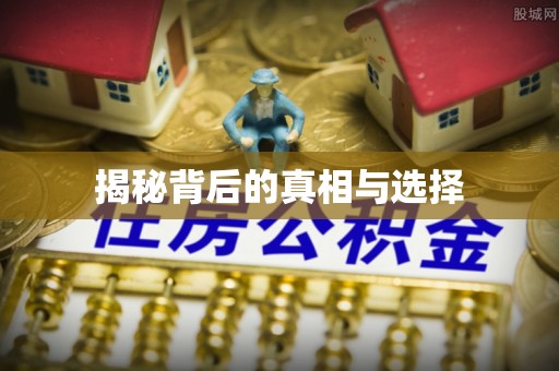 环县揭秘背后的真相与选择