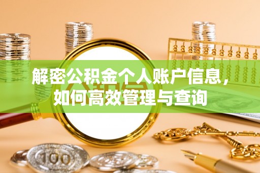 环县解密公积金个人账户信息，如何高效管理与查询
