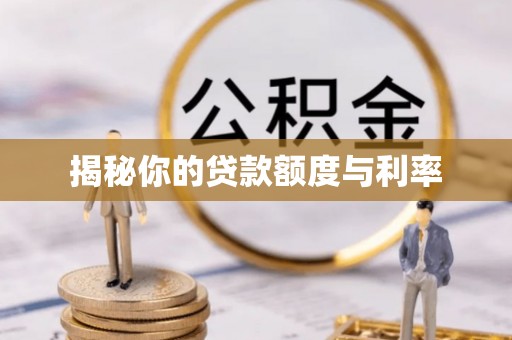 环县揭秘你的贷款额度与利率