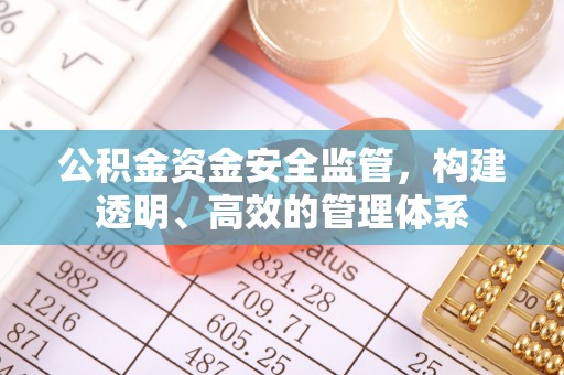 环县公积金资金安全监管，构建透明、高效的管理体系