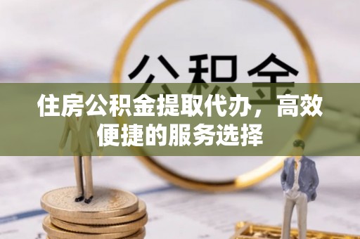 环县住房公积金提取代办，高效便捷的服务选择