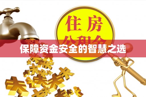 环县保障资金安全的智慧之选