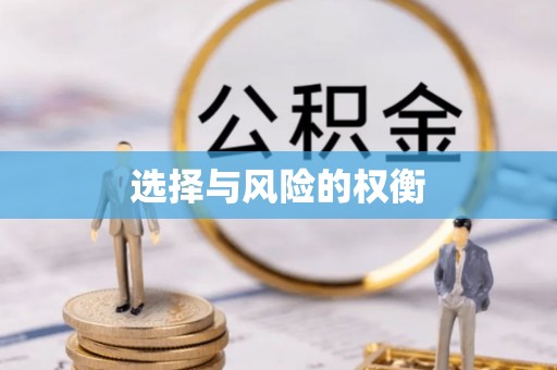 环县选择与风险的权衡
