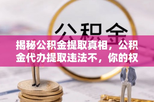 环县揭秘公积金提取真相，公积金代办提取违法不，你的权益如何保障？