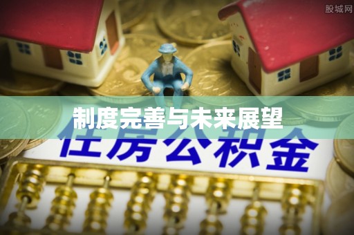 环县制度完善与未来展望