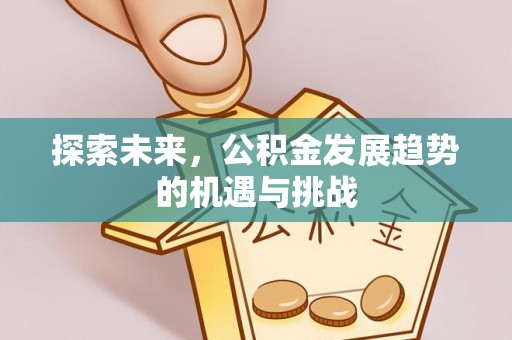 环县探索未来，公积金发展趋势的机遇与挑战