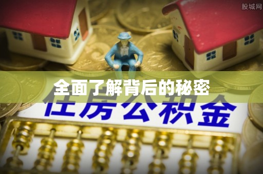 环县全面了解背后的秘密