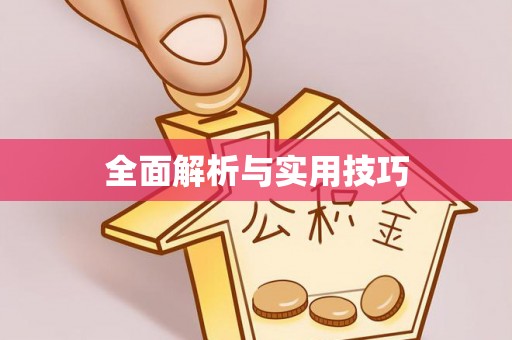 环县全面解析与实用技巧