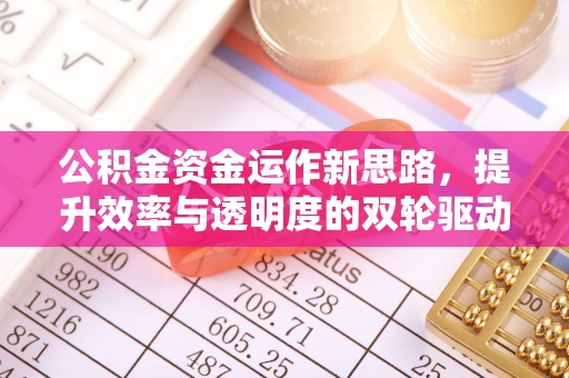 环县公积金资金运作新思路，提升效率与透明度的双轮驱动