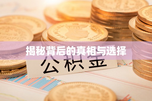 环县揭秘背后的真相与选择