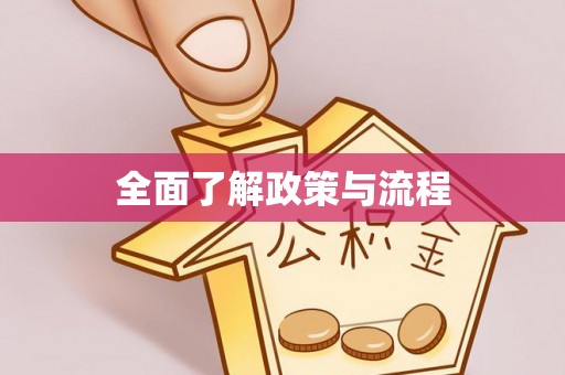 环县全面了解政策与流程