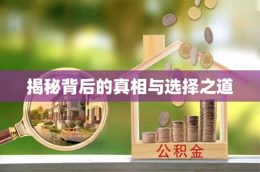 环县揭秘背后的真相与选择之道