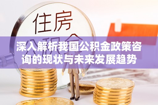 环县深入解析我国公积金政策咨询的现状与未来发展趋势