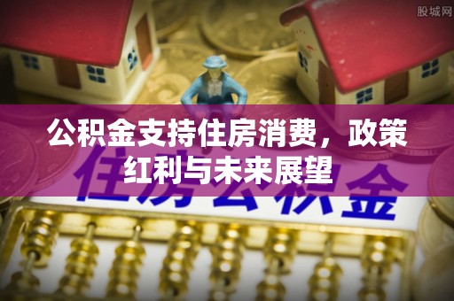 环县公积金支持住房消费，政策红利与未来展望