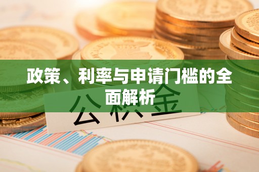 环县政策、利率与申请门槛的全面解析
