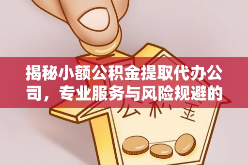 环县揭秘小额公积金提取代办公司，专业服务与风险规避的平衡艺术