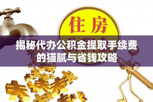 环县揭秘代办公积金提取手续费的猫腻与省钱攻略