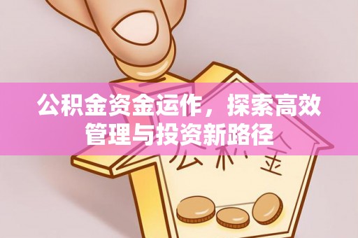 环县公积金资金运作，探索高效管理与投资新路径