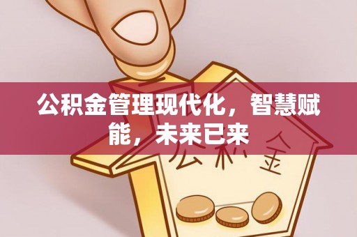 环县公积金管理现代化，智慧赋能，未来已来