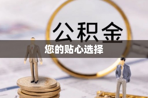 环县您的贴心选择