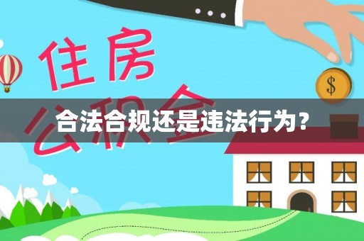 环县合法合规还是违法行为？