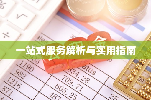 环县一站式服务解析与实用指南