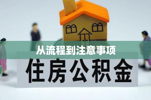 环县从流程到注意事项