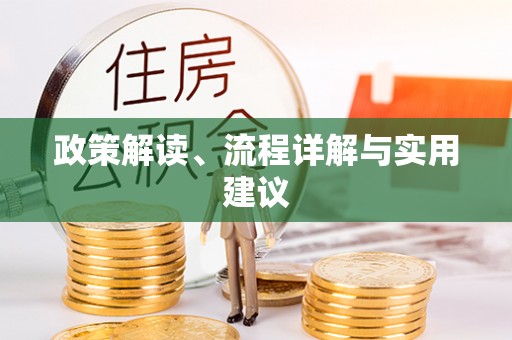 环县政策解读、流程详解与实用建议
