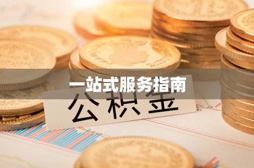 环县一站式服务指南