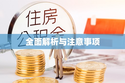 环县全面解析与注意事项