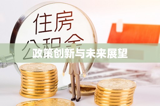 环县政策创新与未来展望