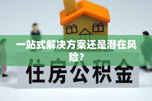 环县一站式解决方案还是潜在风险？