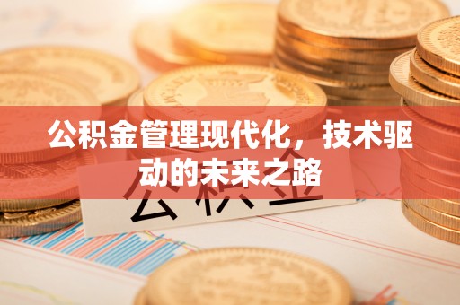 环县公积金管理现代化，技术驱动的未来之路